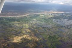 Lady Bush Pilot - African Tour - Flap 3