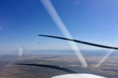 Lady Bush Pilot - African Tour - Flap 3