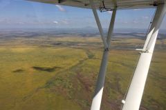 Lady Bush Pilot - African Tour - Flap 3