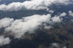 Lady Bush Pilot - African Tour - Flap 3