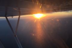 Lady Bush Pilot - African Tour - Flap 3