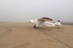 Lady Bush Pilot - African Tour - Flap 3