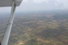 Lady Bush Pilot - African Tour - Flap 3