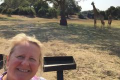 Lady Bush Pilot - African Tour - Flap 3