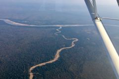 Lady Bush Pilot - African Tour - Flap 3