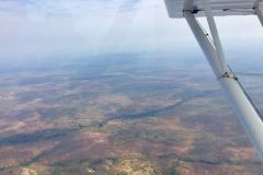 Lady Bush Pilot - African Tour - Flap 3