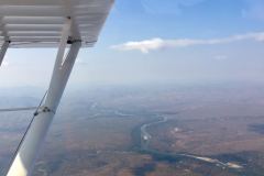 Lady Bush Pilot - African Tour - Flap 3