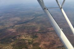 Lady Bush Pilot - African Tour - Flap 3