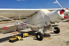 Lady Bush Pilot - African Tour - Flap 3