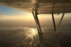 Lady Bush Pilot - African Tour - Flap 6