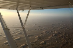 Lady Bush Pilot - African Tour - Flap 6