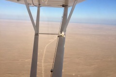 Lady Bush Pilot - African Tour - Flap 6