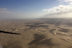Lady Bush Pilot - African Tour - Flap 6
