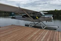 Lady Bush Pilot - Alaska
