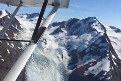 Lady Bush Pilot - Alaska