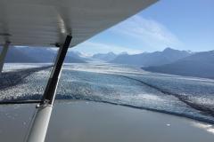 Lady Bush Pilot - Alaska