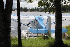 Lady Bush Pilot - Alaska