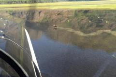 Lady Bush Pilot - Alaska