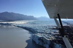 Lady Bush Pilot - Alaska