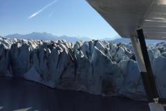 Lady Bush Pilot - Alaska
