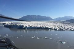 Lady Bush Pilot - Alaska