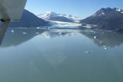 Lady Bush Pilot - Alaska