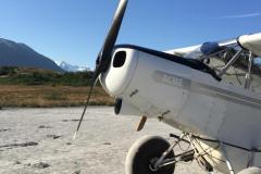 Lady Bush Pilot - Alaska