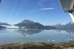Lady Bush Pilot - Alaska