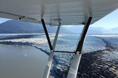 Lady Bush Pilot - Alaska