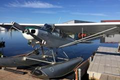 Lady Bush Pilot - Alaska