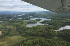 Lady Bush Pilot - Alaska