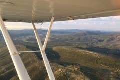 Lady Bush Pilot - African Tour - Flap 7