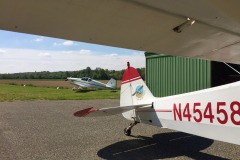 Lady Bush Pilot - African Tour - Flap 7