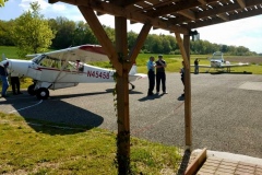 Lady Bush Pilot - African Tour - Flap 7