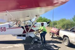 Lady Bush Pilot - African Tour - Flap 4