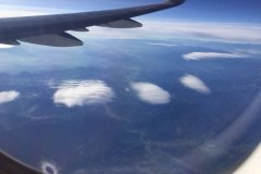 Lady Bush Pilot - African Tour - Flap 1