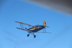 Lady Bush Pilot - Beaches Flying Trip