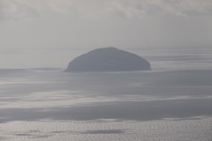 081_BFT2