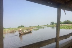 Lady Bush Pilot - African Tour - Flap 6