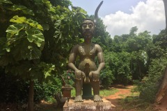 Lady Bush Pilot - African Tour - Flap 6