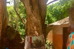 Lady Bush Pilot - African Tour - Flap 6