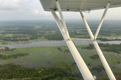 Lady Bush Pilot - African Tour - Flap 6