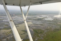 Lady Bush Pilot - African Tour - Flap 6