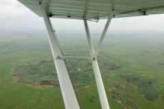 Lady Bush Pilot - African Tour - Flap 6