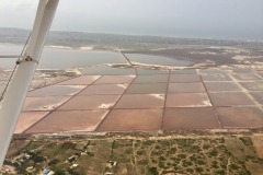 Lady Bush Pilot - African Tour - Flap 6