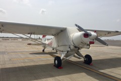 Lady Bush Pilot - African Tour - Flap 6
