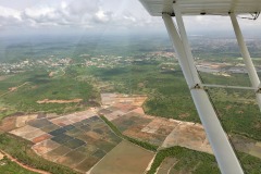 Lady Bush Pilot - African Tour - Flap 6