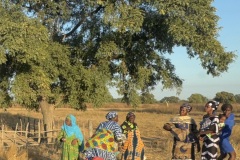 IMG_7440-7470