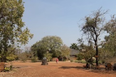 IMG_7520