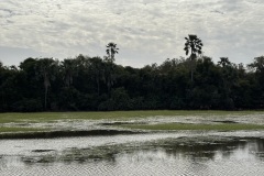 IMG_8064